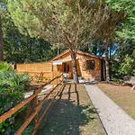 La Maisonnette En Bois