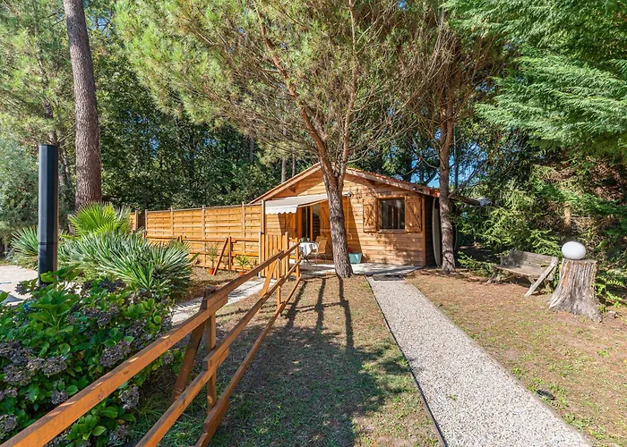 La Maisonnette En Bois
